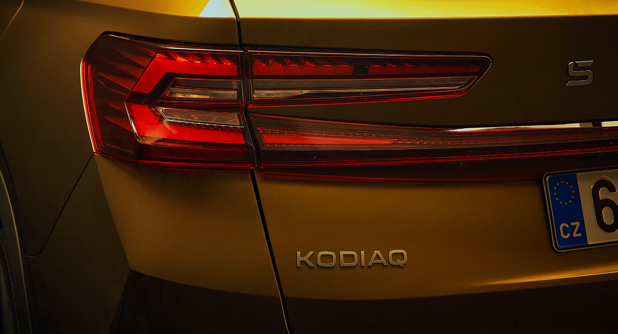 kodiaqdis4